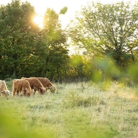 Domaine Les Lanternes Hotel